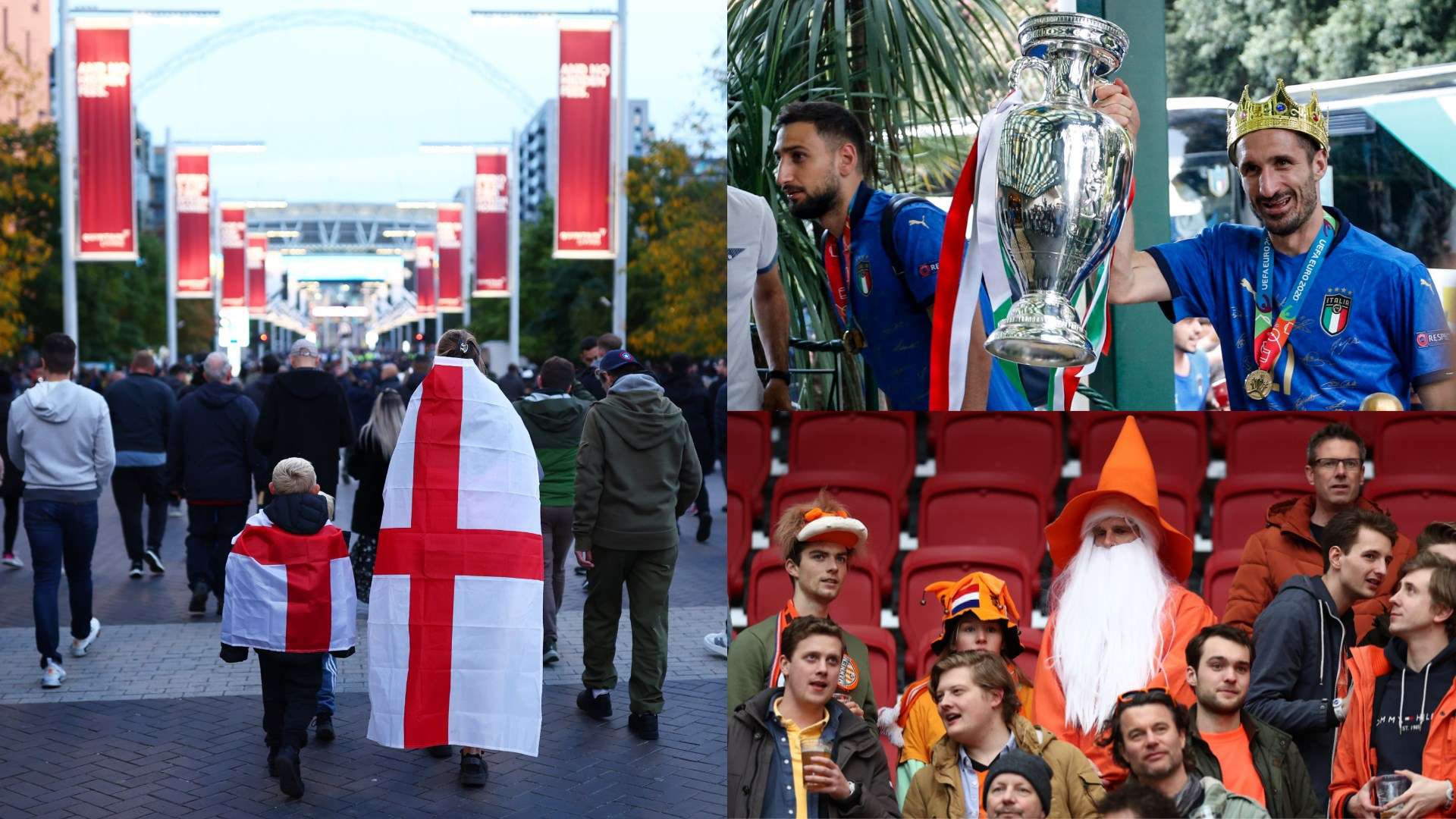 的退出不会 的退出不会