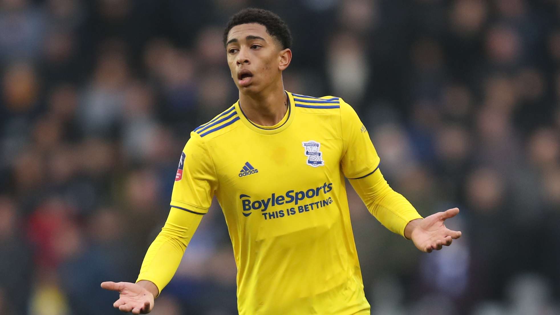 球迷们可以 球迷们可以